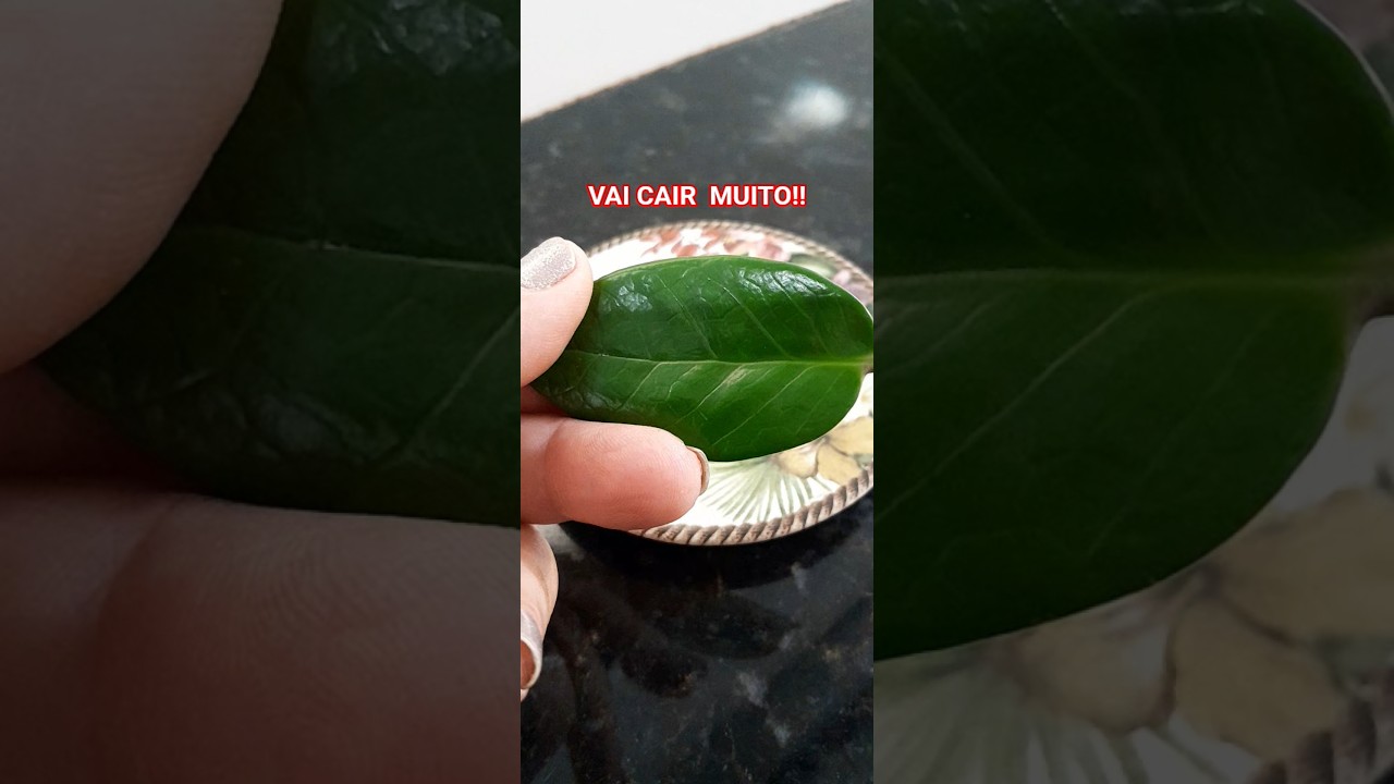 Read more about the article SIMPATIA PRA DINHEIRO URGENTE!!#dinheiro #money #military #simpatia #dicas