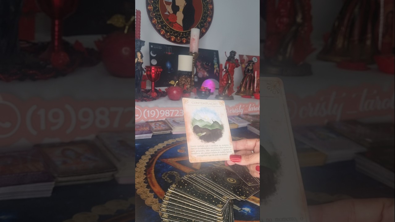 Read more about the article Carta do dia #cartadodia #mensagem #cartadehoje #baralhocigano #tarot