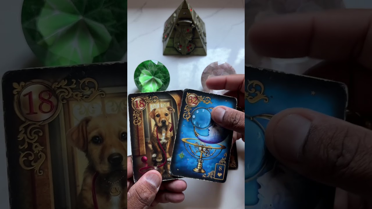 Read more about the article Mensagem da espiritualidade! | #TarotResponde #shorts #tarot #tarotdoamor