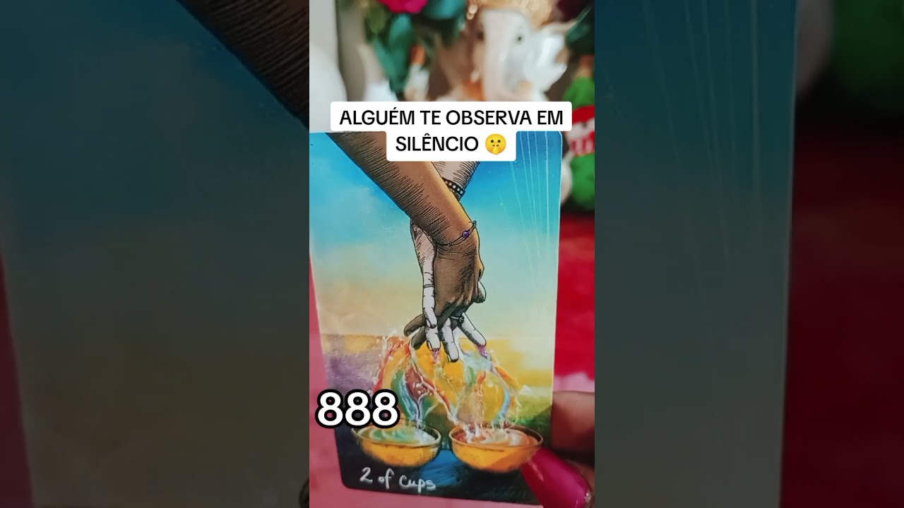 Read more about the article 💫Previsão do dia #tarot #gratidão #universo #leidaatraçãotarot #baralhocigano #tarô #taro #tarothoje