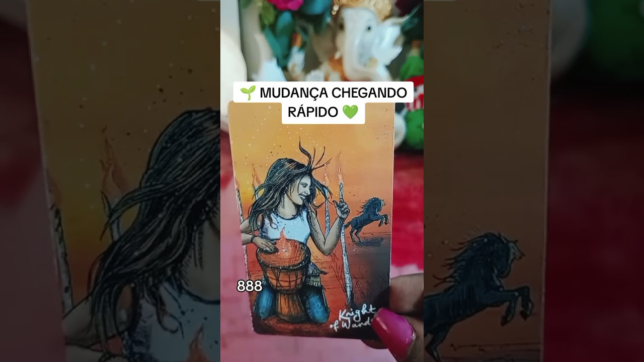 Read more about the article 💫Previsão do dia #tarot #gratidão #universo #leidaatraçãotarot #baralhocigano #tarô #taro #tarothoje
