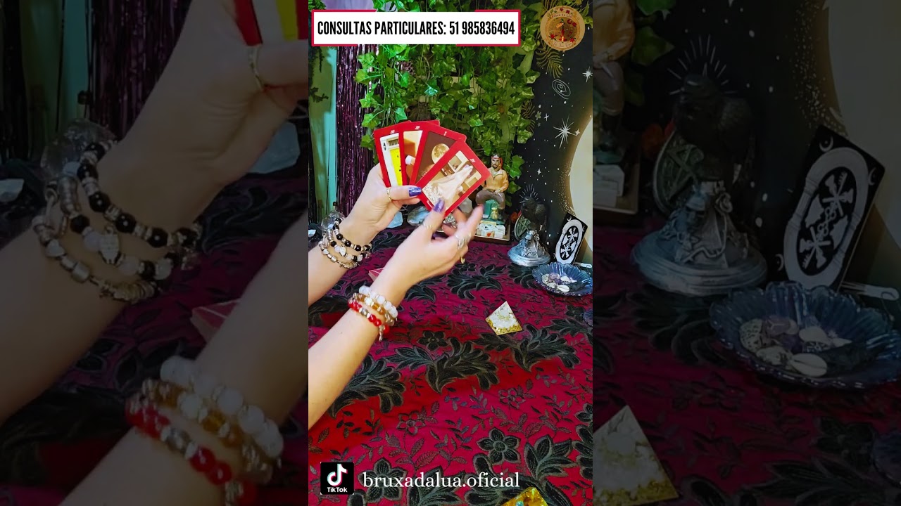 Read more about the article 🚀Recado da Dona Sete para você!