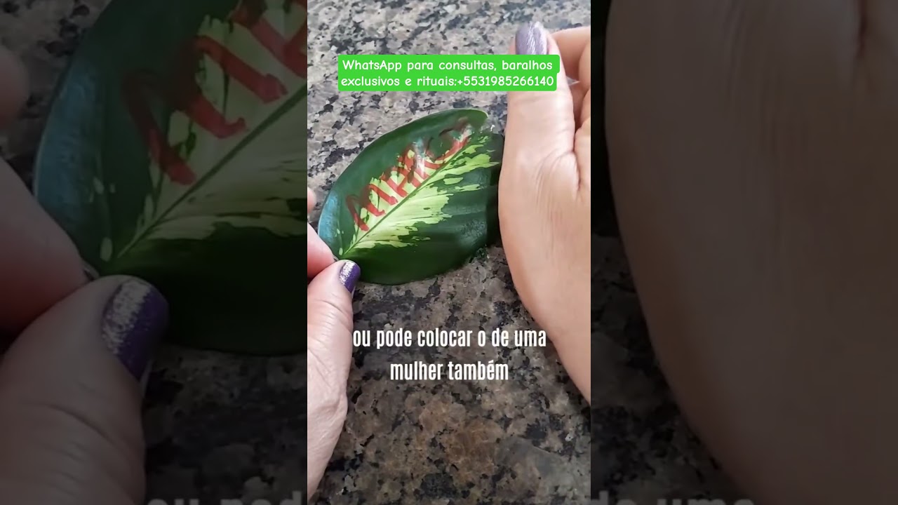 Read more about the article SIMPATIA PARA DOMINAR UMA PESSOA #simpatia #magia #macumba #fyp