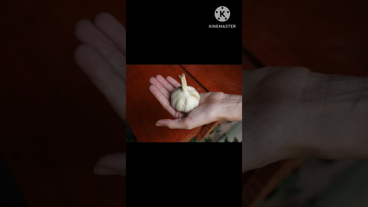 Read more about the article Simpatia vira pensamento faça te procurar rápido e fácil