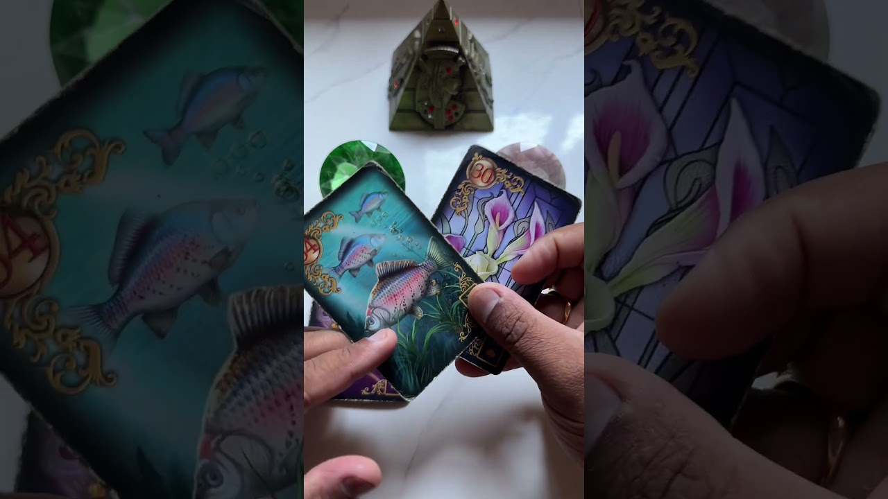 Read more about the article Você vai conseguir o seu objetivo? #tarot #tarotreading  #tarotonline #braziliantarot