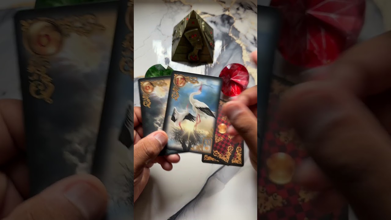 Read more about the article Vocês vão se acertar? #tarot #leituradetarot #tarotreadings