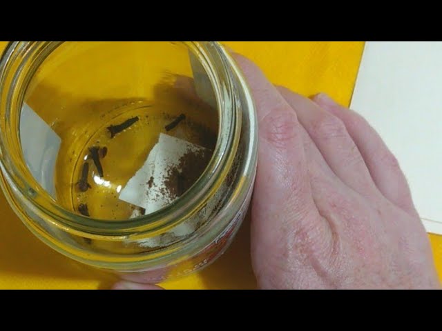 Read more about the article 🔴 SIMPATIA PARA  ATRAIR  MUITO DINHEIRO ! RAPIDAMENTE 😱 039