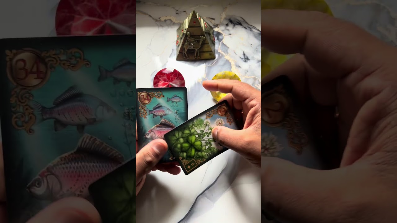 Read more about the article 💫 Tarot Online #tarot #tarotresponde #leidaatraçãotarot #baralhocigano #tarô #taro #tarotdehoje