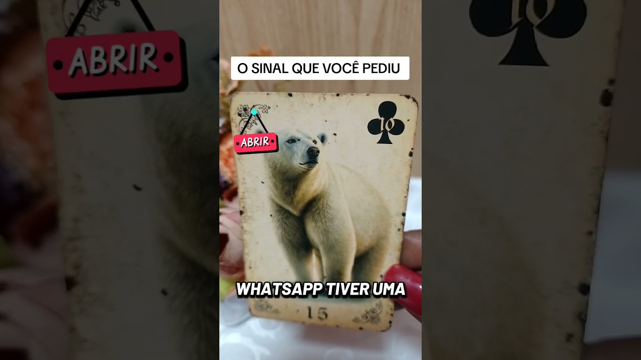 Read more about the article ASSISTA ESSE VÍDEO EM 5 MINUTOS ATÉ O FINAL #cartasdetarot