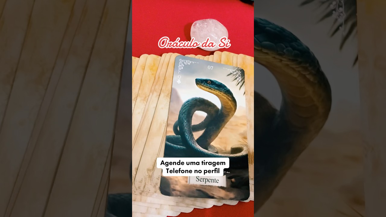 Read more about the article Mensagem do dia #tarot #baralho #taro #baralhocigano #mensagemdodia #cartomancia