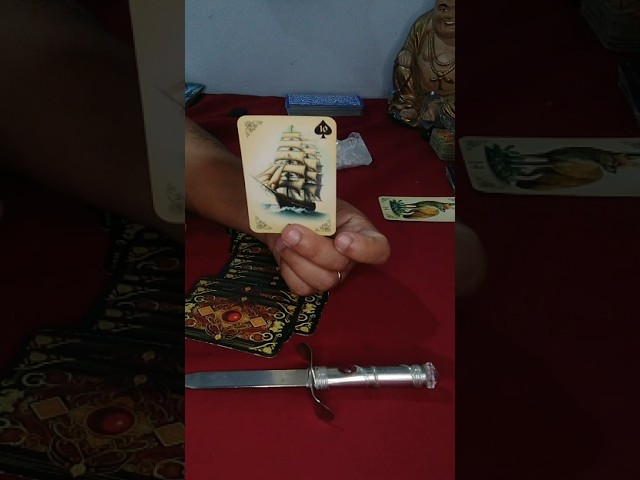 Read more about the article NÃO IGNORE! SEUS PRÓXIMOS 7 DIAS #tarot #baralhocigano #dinheiro #viral # shorts #tarotreading