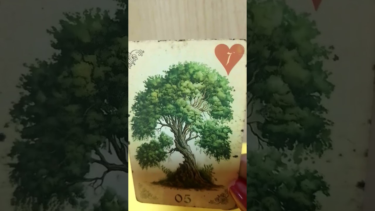 Read more about the article 💫Previsão do dia #tarot #gratidão #universo #leidaatraçãotarot #baralhocigano #tarô #taro #tarothoje