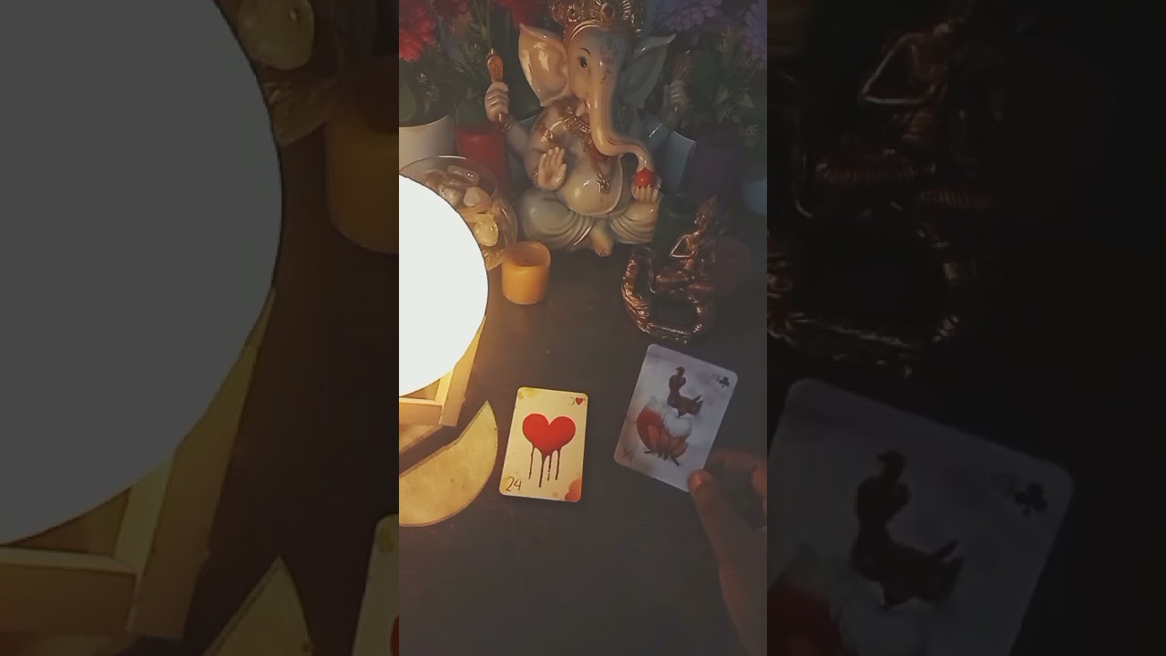 Read more about the article 💫Previsão do dia #tarot #gratidão #universo #leidaatraçãotarot #baralhocigano #tarô #taro #tarothoje