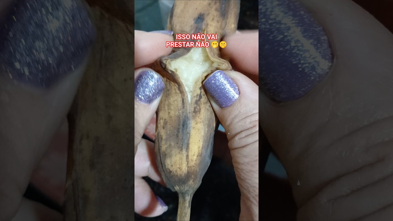 Read more about the article SUA CAMA VAI VOAR!! #shortes #dicas #simpatia #camaro #fogo #shortsfeed