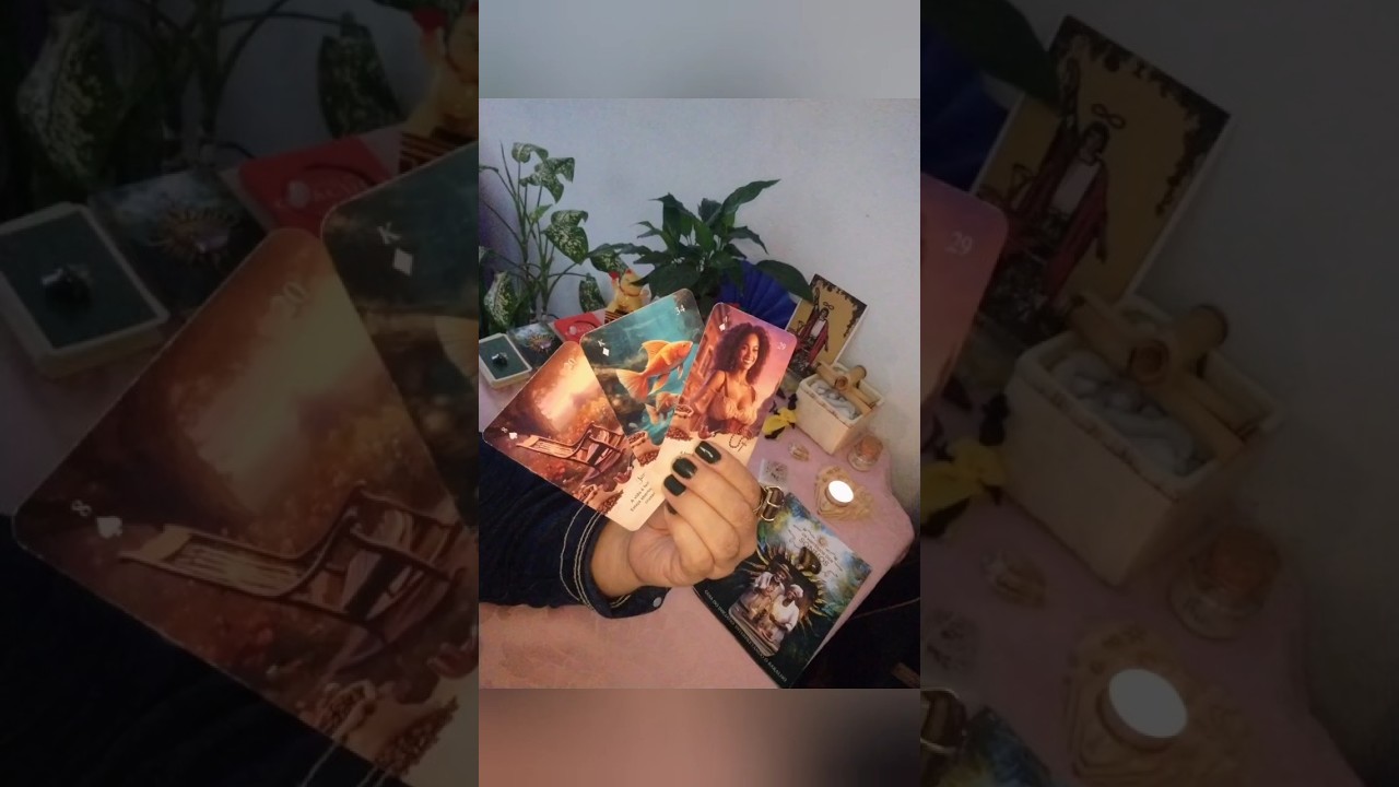 Read more about the article Bom dia para ENCONTROS! #baralhocigano #tarot #amor #shorts #@Sortedodia005