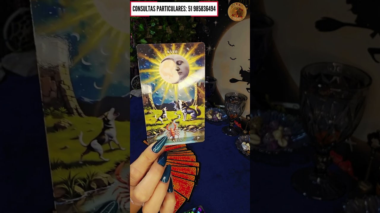 Read more about the article 🚀Energia do Tarot para o seu DIA!