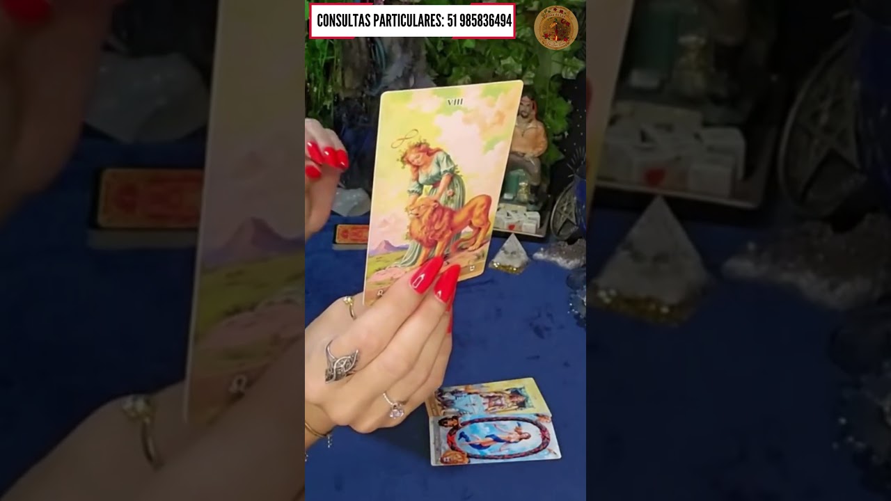 Read more about the article O que ele(a) está VIBRANDO em relação à você neste MOMENTO?