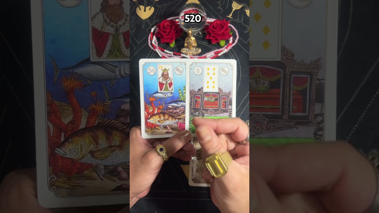 Read more about the article Previsão do dia! #tarot #gratidão #universo #leidaatraçãotarot #baralhocigano #tarô #taro#tarothoje