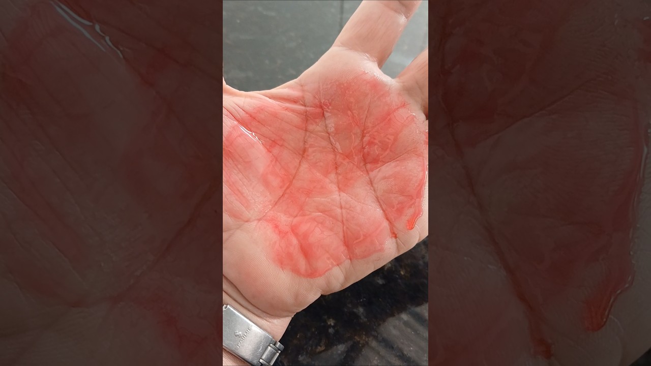 Read more about the article TRÊS CHATOS🫢🤫 #simpatia #shortes #volta #vem7k #cherokee