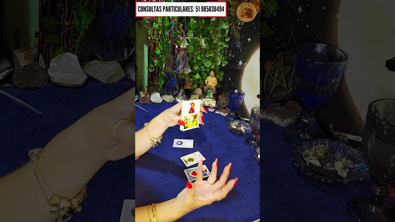 Read more about the article 🚀Vocês irão ter uma CONVERSA séria?