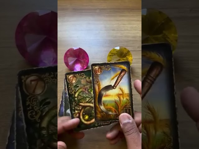 Read more about the article Baralho Cigano Responde o Tarot Revela uma mensagem pra você! #tarot #tarotonline #tarotdoamor