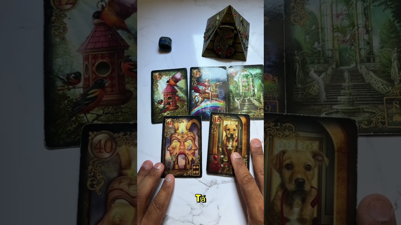 Read more about the article Essa pessoa está sentindo muita sua falta! #tarot #tarothoje #tarotgratis #tarotamor
