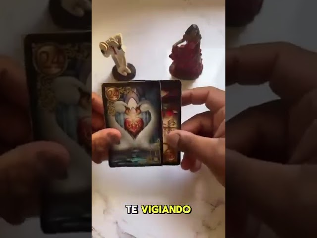 Read more about the article Eu tenho a RESPOSTA que você PRECISA! #tarotreading #tarot 111
