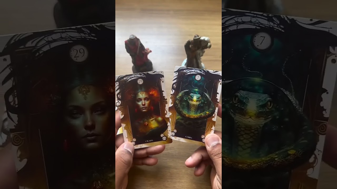 Read more about the article O Baralho Cigano Revela o Tarot Responde uma mensagem pra você! #tarot #tarotonline #tarotdehoje 💫