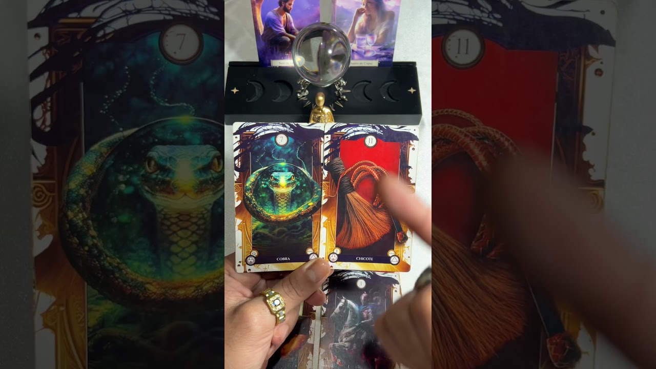 Read more about the article Previsão do dia #tarot #gratidão #universo #leidaatraçãotarot #baralhocigano #tarô#taro#tarothoje