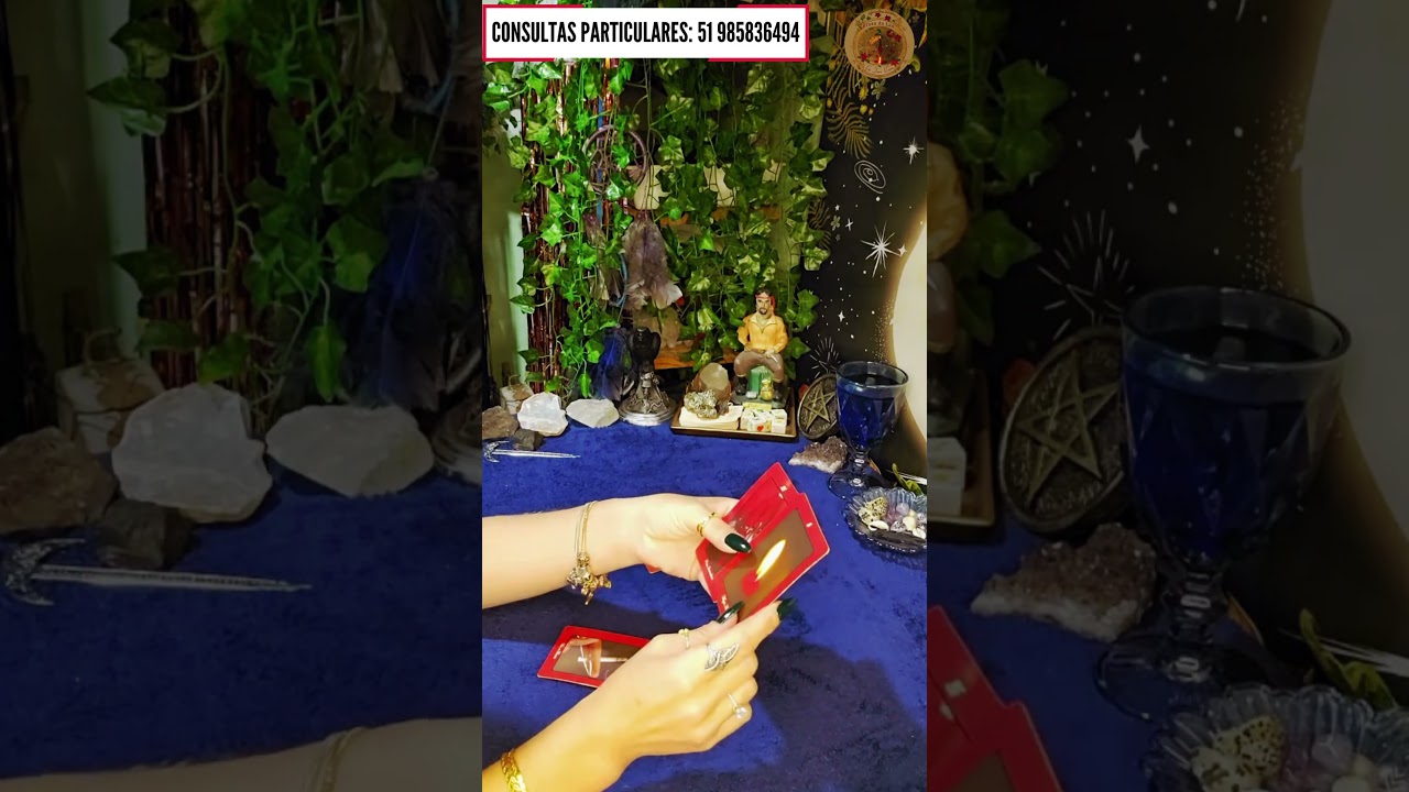 Read more about the article 🚀Recado da Dona Sete para o seu MOMENTO ATUAL!