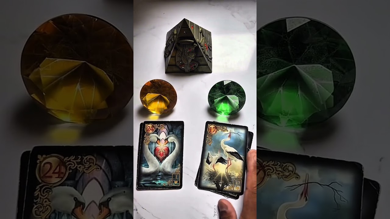 Read more about the article Você está agindo certo nesse momento? #shorts #tarot #tarotdehoje #tarothoje