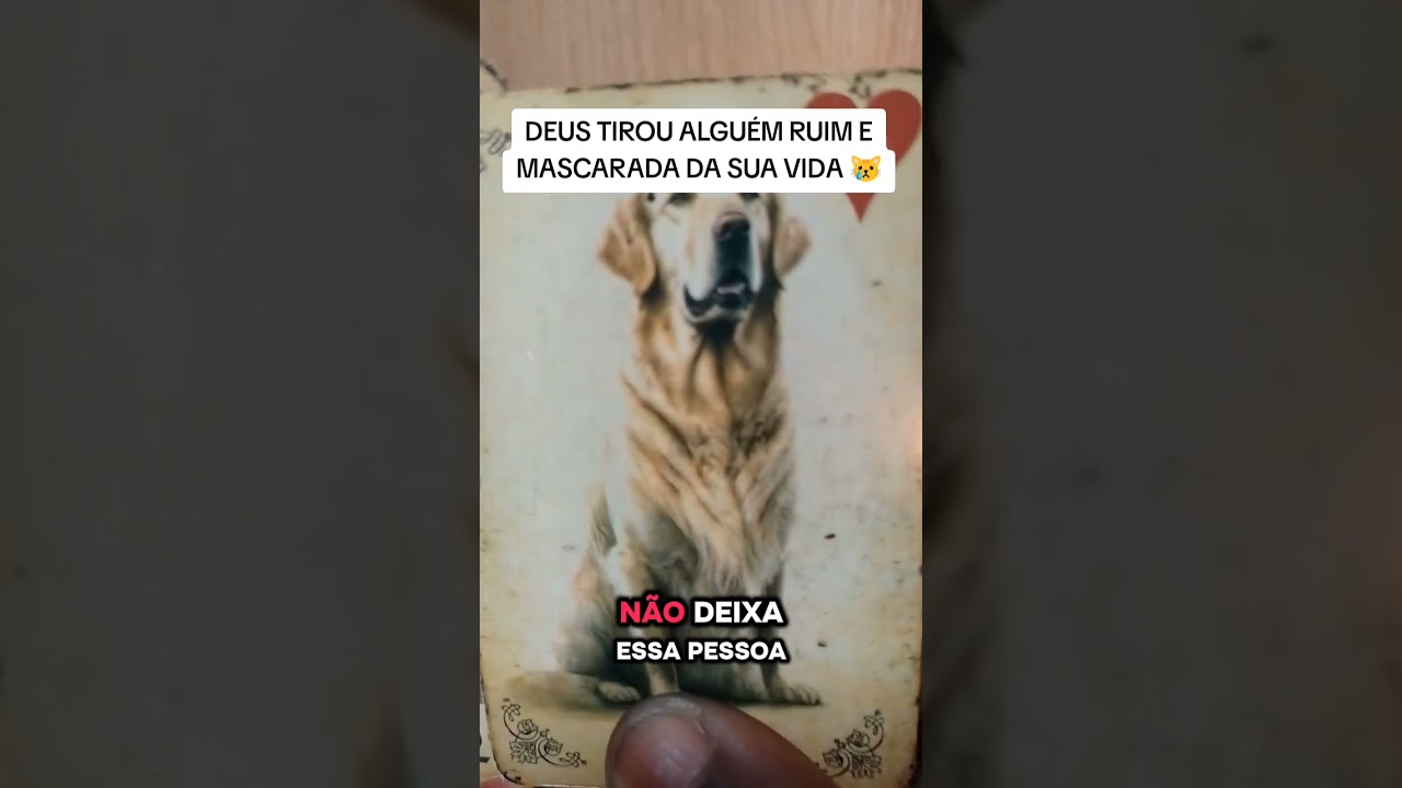 Read more about the article Lei Atração Tarot #tarotdehoje #tarot #cartomante #baralhocigano #tarô #taro #tarotonline #tarot