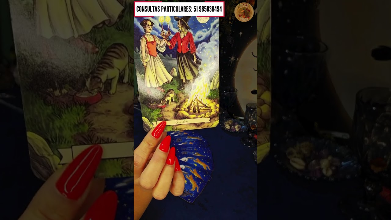 Read more about the article 🚀Mensagem do Oráculo dos Gatinhos!
