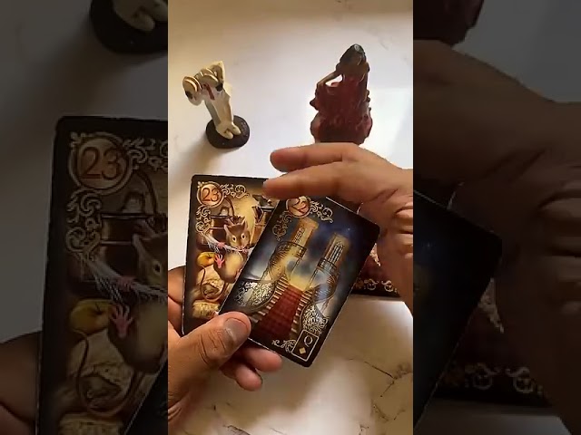Read more about the article O Baralho Cigano Responde o Tarot Revela uma mensagem para você! #tarot #tarotonline #tarotdehoje 20