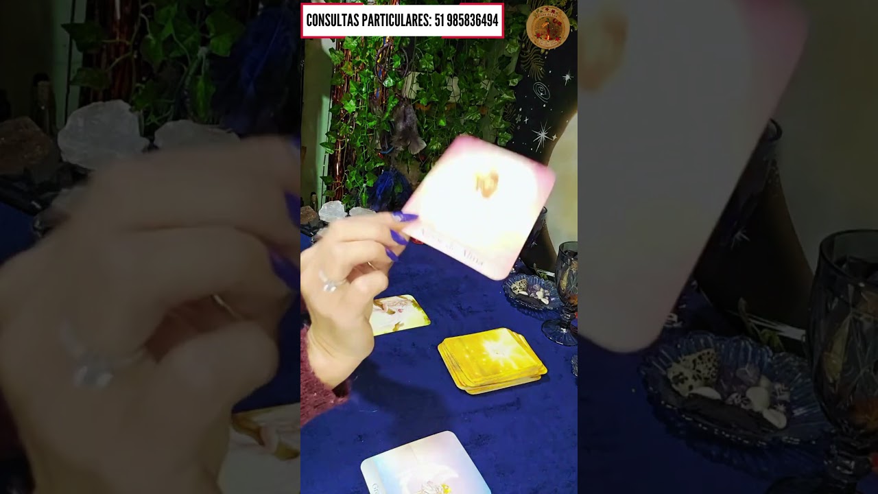 Read more about the article 🚀O que o Jardim dos Anjos fala sobre você e ele(a)?