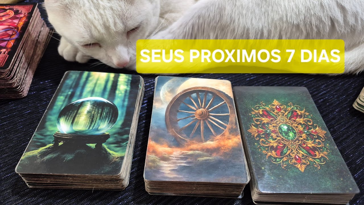 Read more about the article SEUS PROXIMOS 7 DIAS #tarô #baralhocigano🤗