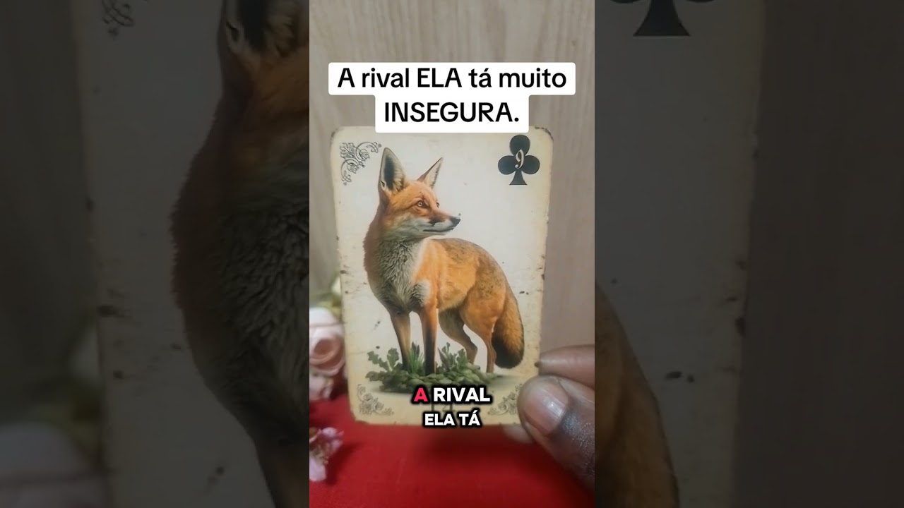 Read more about the article #tarotreading #cartomante #tarot #leidaatração #destino #previsões #tarotcigano #tarotreader #pensa