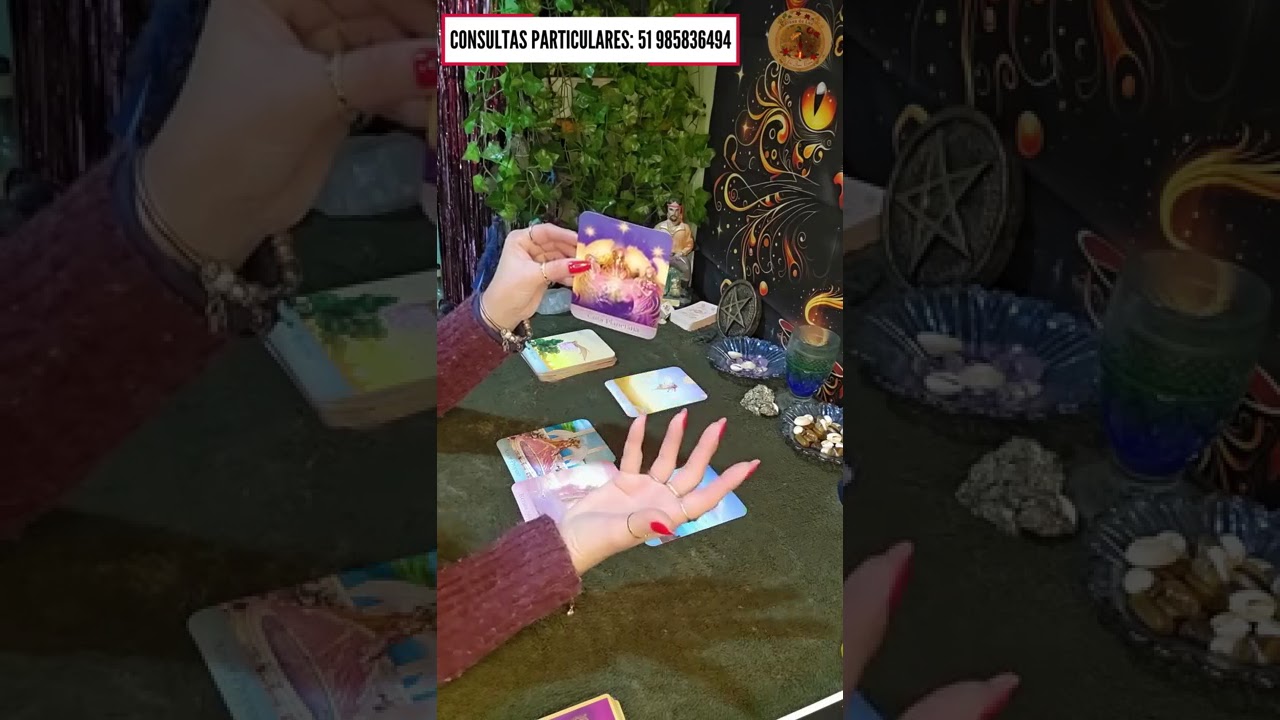 Read more about the article 🚀Mensagem do Jardim dos Anjos para você!