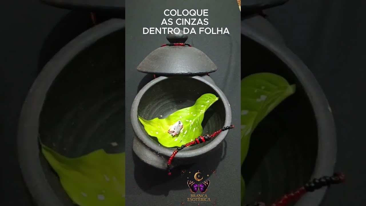 Read more about the article SIMPATIA DA FOLHA DE COMIGO NINGUÉM PODE PARA SUMIR INIMIGO! NÃO É VINGANÇA É PROTEÇÃO!