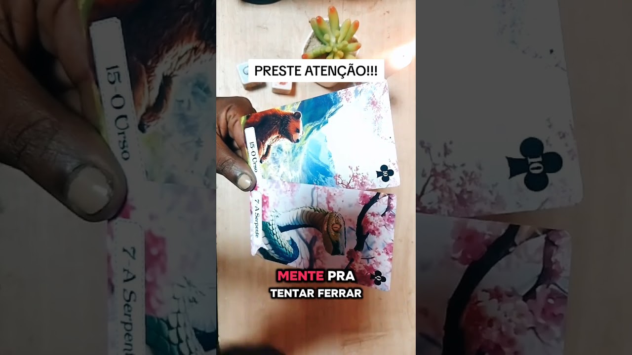 Read more about the article #tarot #taro #tarotreading #espiritualidade #viral #podcast