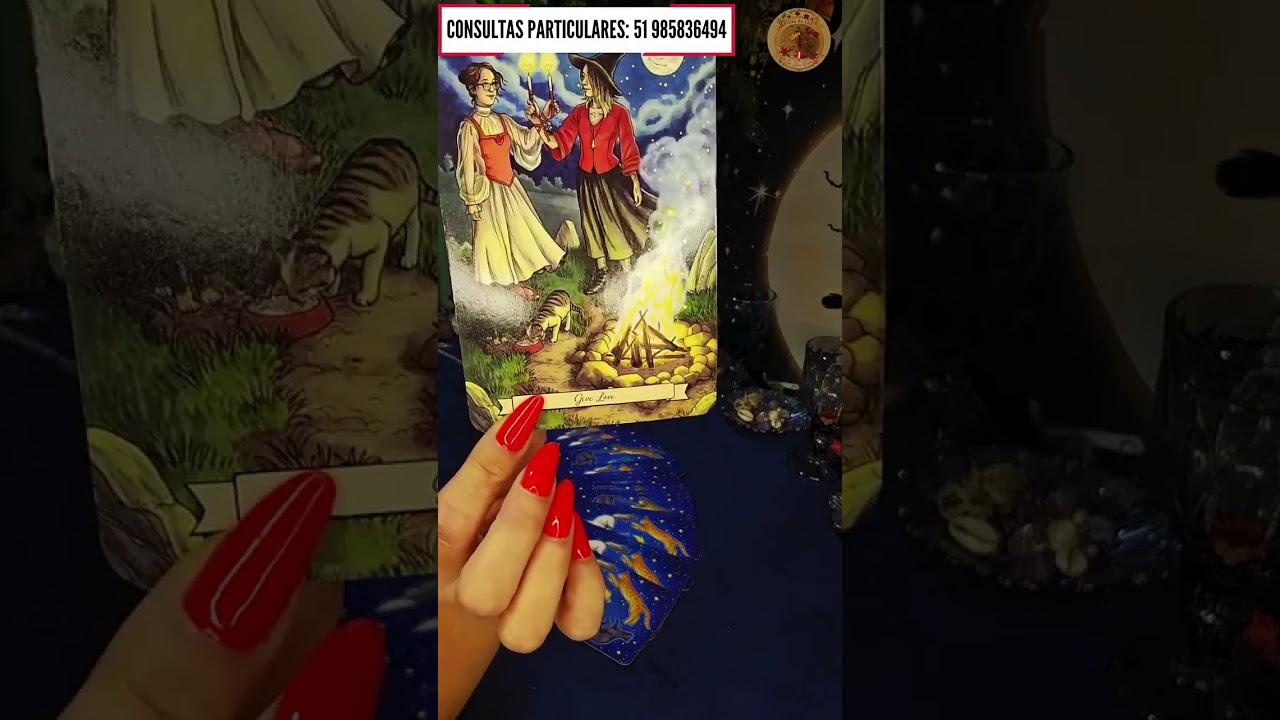 Read more about the article 🚀Mensagem do Oráculo dos Gatinhos!