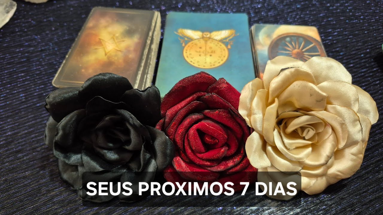 Read more about the article SEUS PROXIMOS 7 DIAS #tarô #baralhocigano🤗