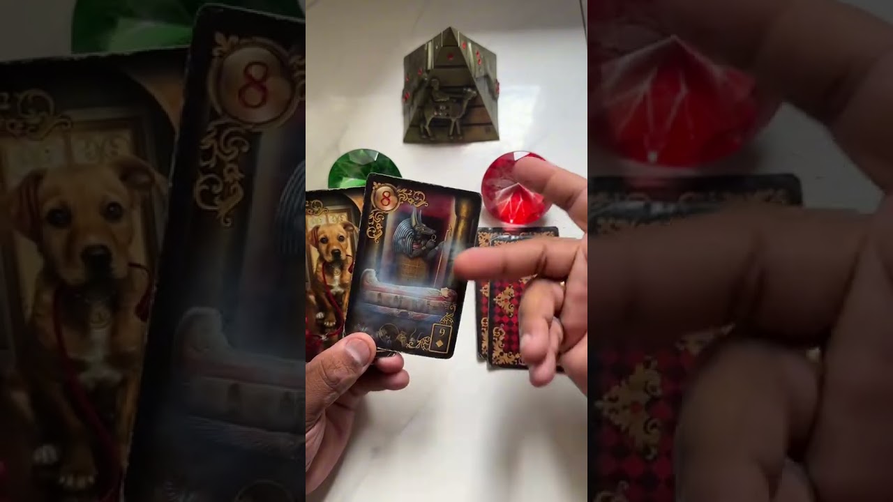 Read more about the article 😱 O UNIVERSO REVELA: UMA SITUAÇÃO VAI TOMAR UM RUMO SURPREENDENTE! 🔮✨ #tarotresponde