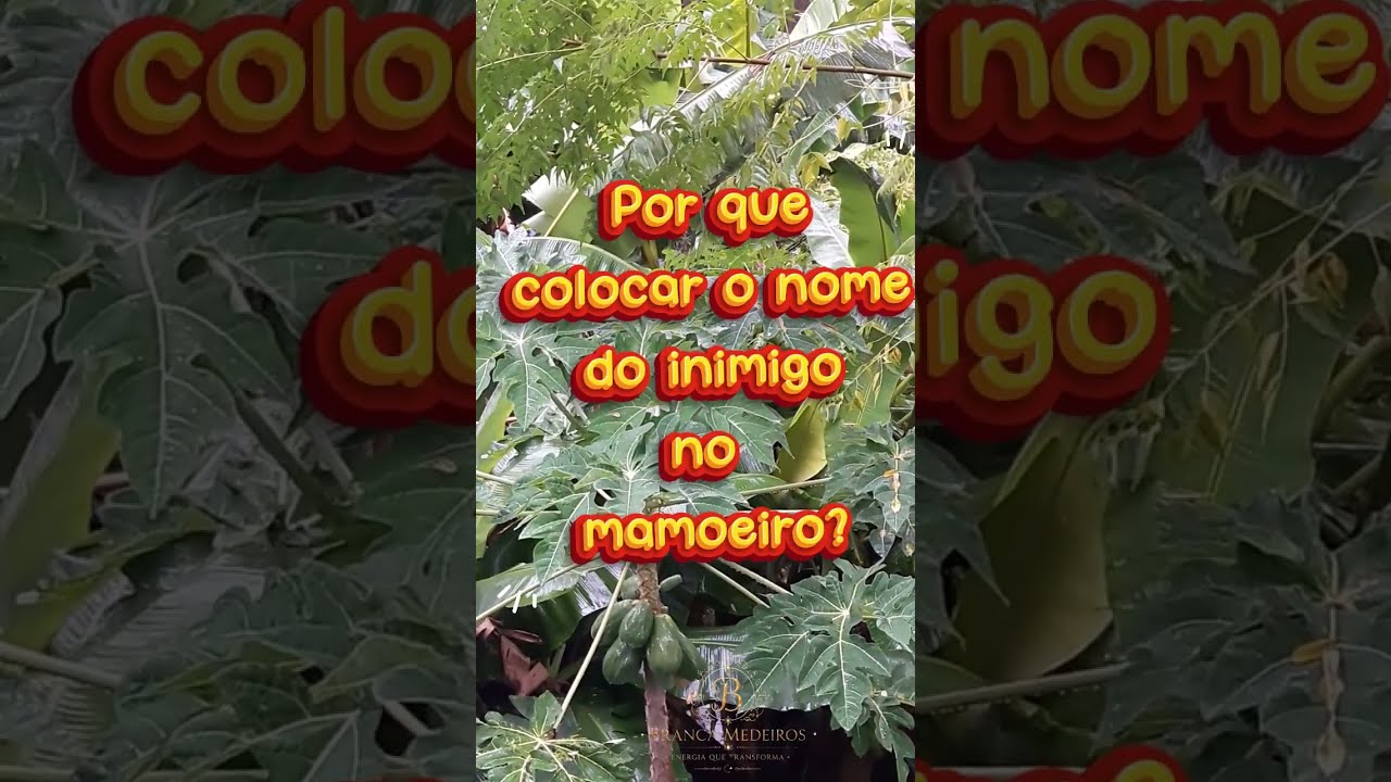Read more about the article 🌿✨  SIMPATIA  DO MAMOEIRO – O SEGREDO QUE NINGUÉM CONTA✨🌿