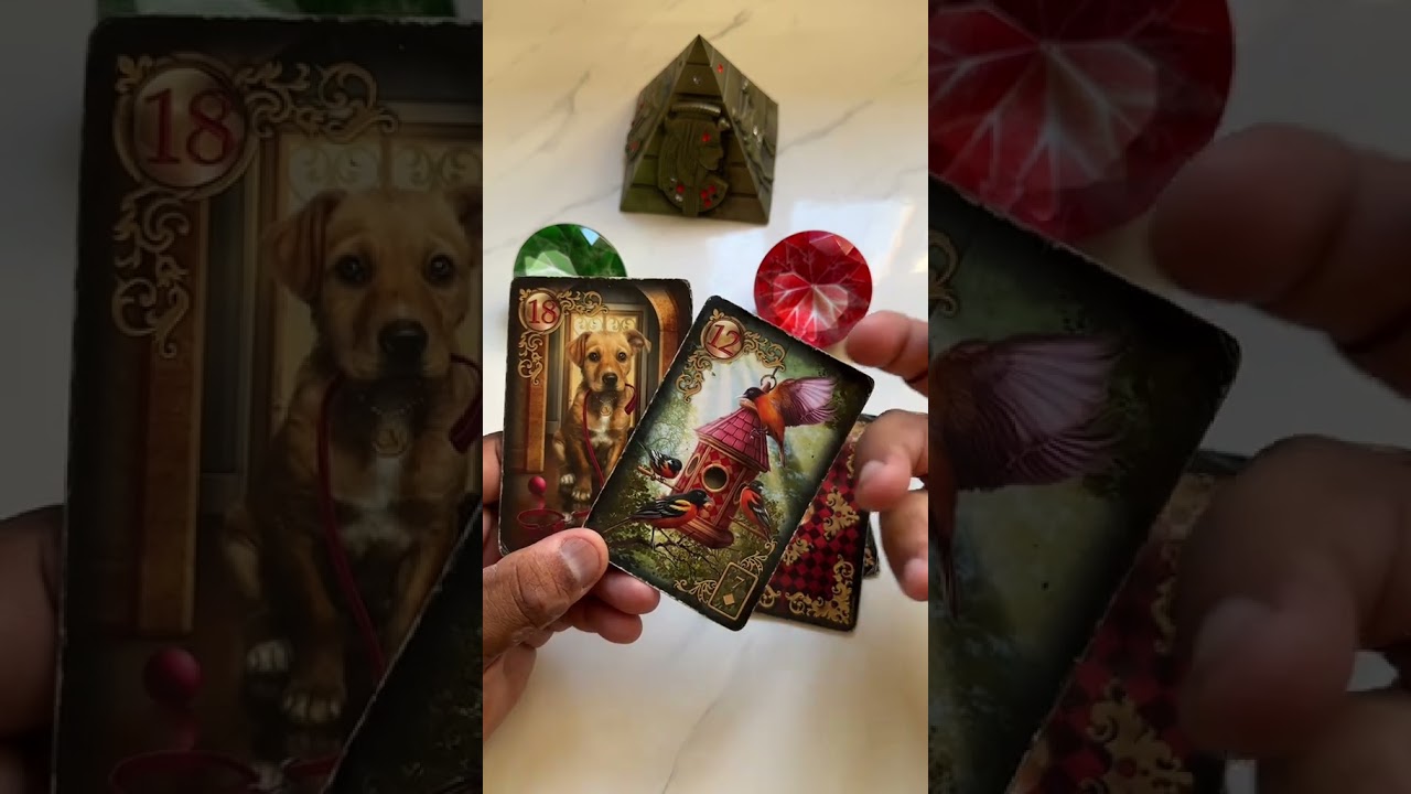 Read more about the article 🔮 UMA SURPRESA DO UNIVERSO VAI CHEGAR ATÉ VOCÊ! #tarotdehoje #tarot #tarotdoamor