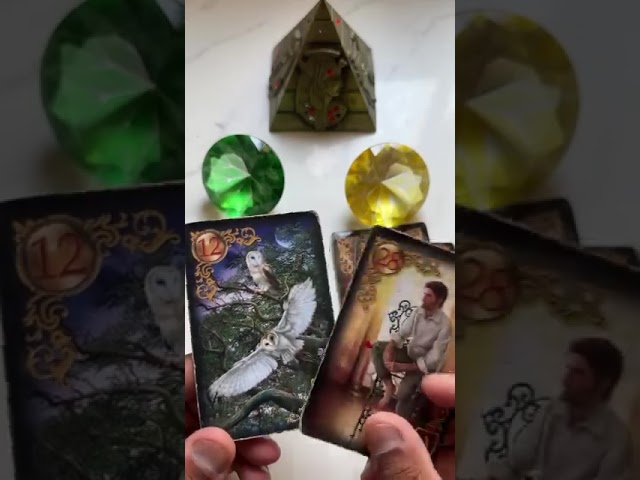 Read more about the article Você já conhece o seu novo amor? #tarot #shorts #domcigano